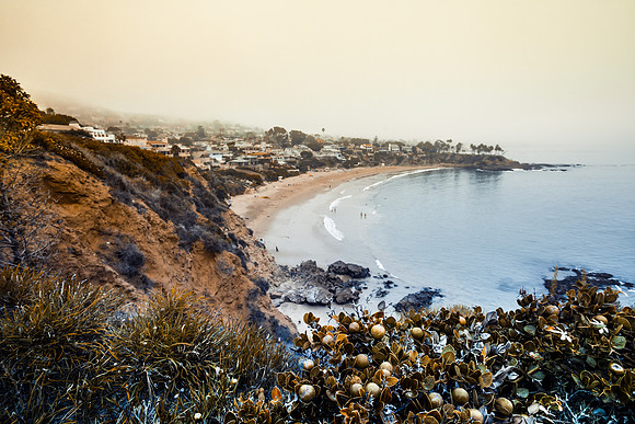 Morning Fog