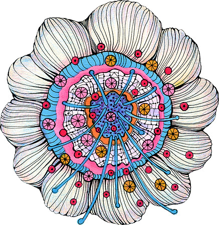 fantastic flowers