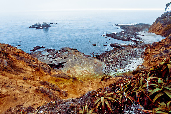 Evening at the Laguna Beach