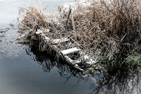 First frost