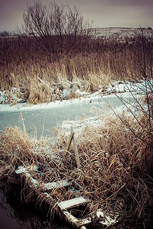 Snowy day