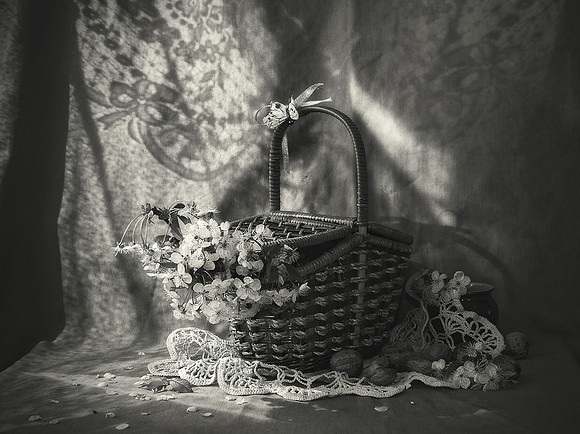 Still life with cherry flowers in a wicker basket