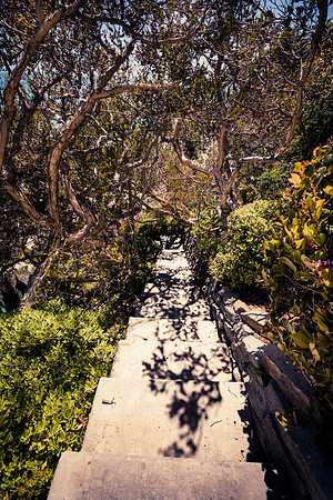 Stairway to the beach