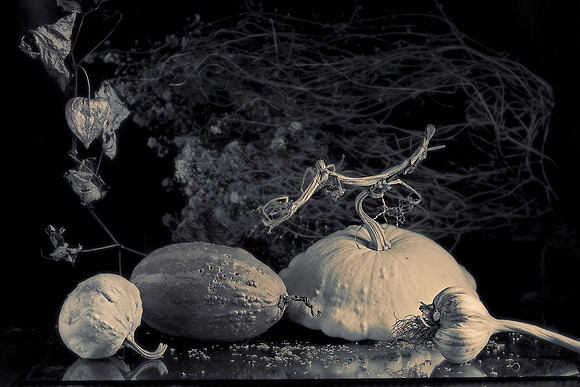 Still life with a ripe pumpkin and  physalis
